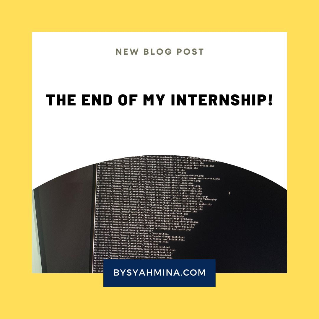 The end of my internship!